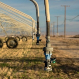 HSAF User Workshop 2022