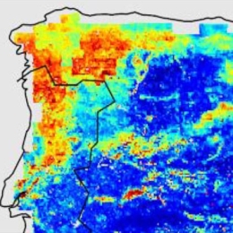 HSAF User Workshop 2022