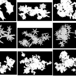 HSAF User Workshop 2022