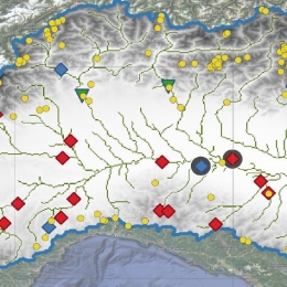 HSAF User Workshop 2022