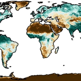 HSAF User Workshop 2022
