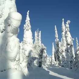 HSAF User Workshop 2022