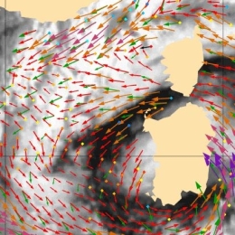 Wind Event Week 2022