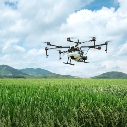 Wind Event Week 2022